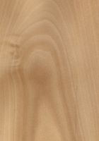 Elsbeere (Torminalis glaberrima): tangentiale Oberfläche (natürliche Größe)
© Thünen-Institut