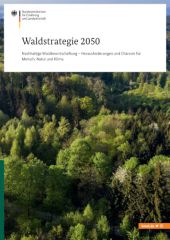 Waldstrategie2050