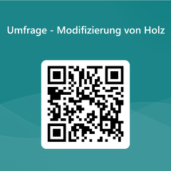 QRCode Umfrage   Modifizierung Von Holz